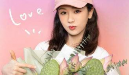 吃瓜少女张小寒爆料杨紫,娱乐圈真相大揭秘